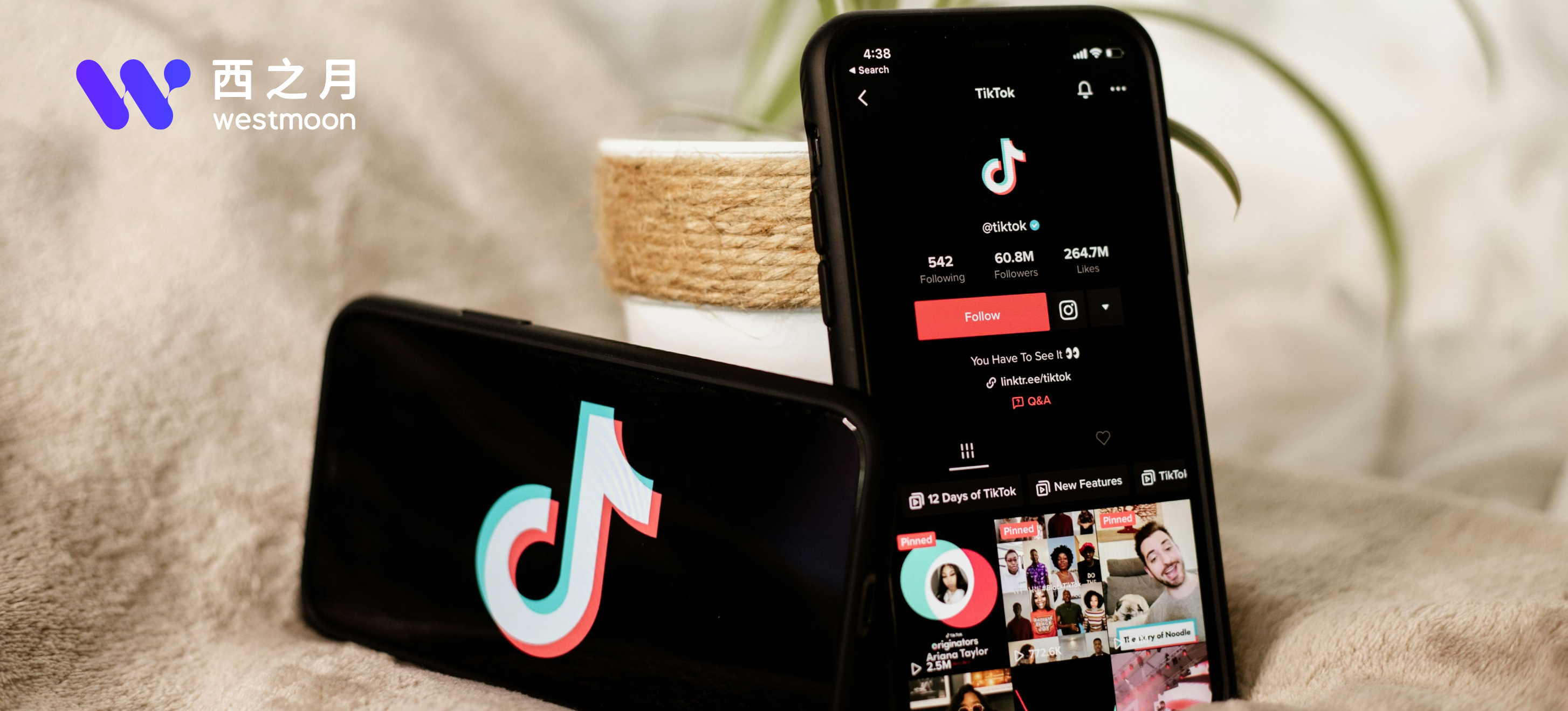 重拳打假！TikTok上线TikTok Real防伪项目，百亿假货市场迎来全面肃清