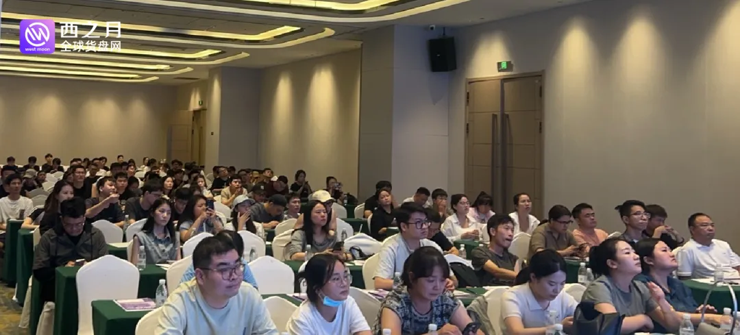 西之月助力Temu全球生意