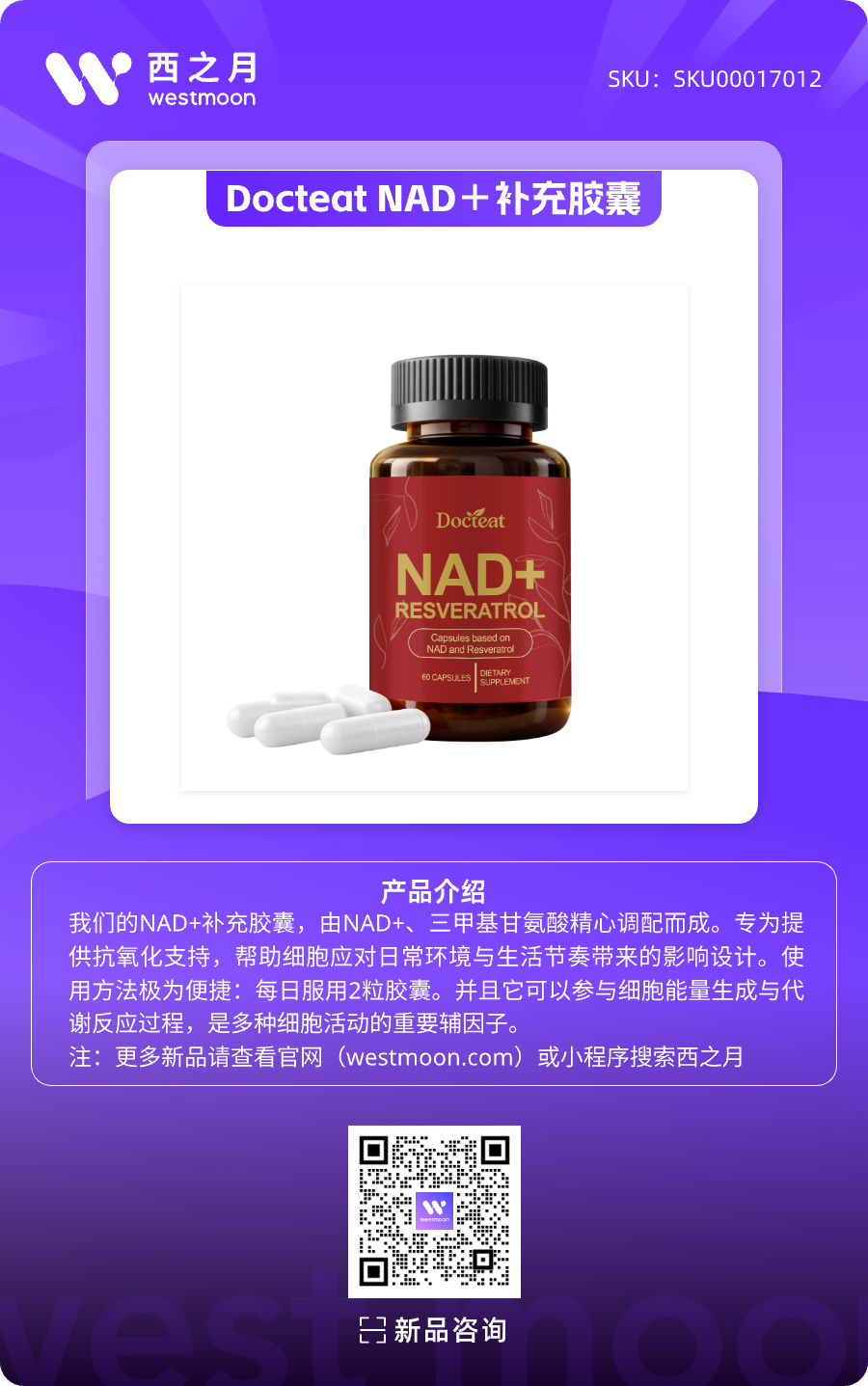 西之月新品推荐 | 第45期