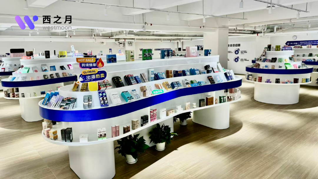 西之月总裁胡华东：以宝安为枢纽，构建湾区产业带出海数字化分销通路