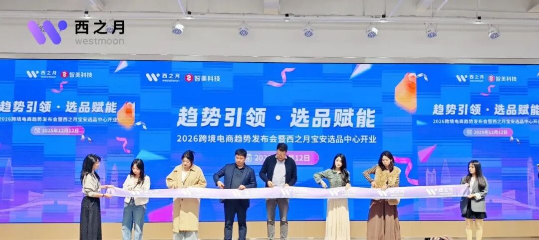 西之月总裁胡华东:以宝安为枢纽,构建湾区产业带出海数字化分销通路